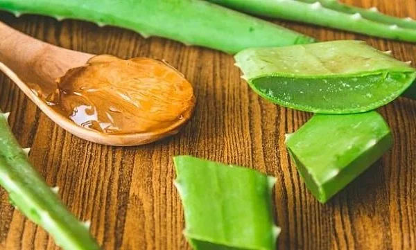 KHASIAT ALOE VERA PADA KULIT WAJAH